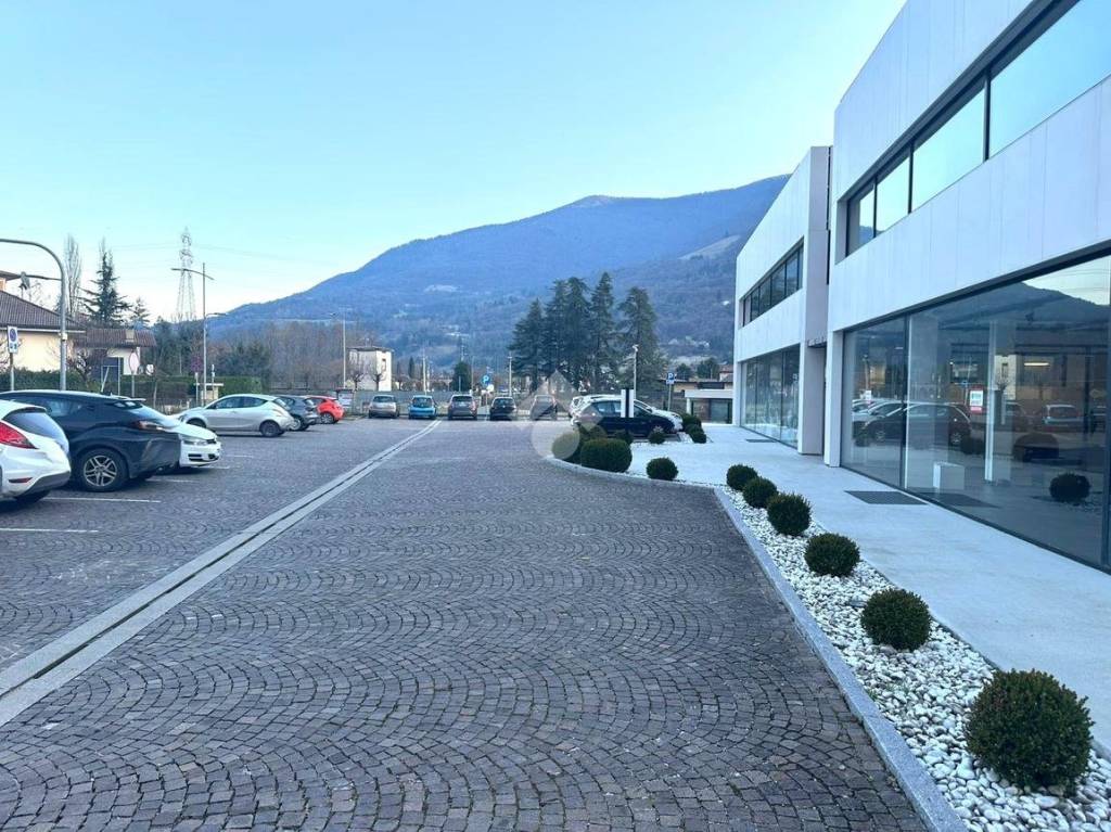 immagine annuncio 6 di 11