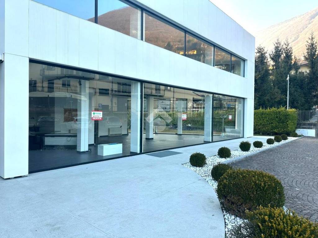 immagine annuncio 7 di 11