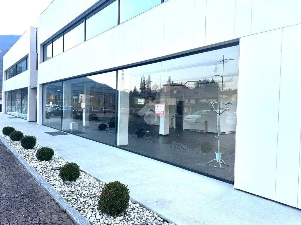 immagine annuncio 8 di 11