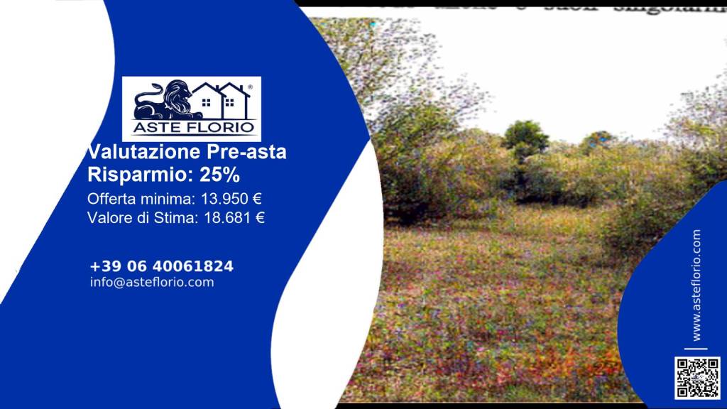 immagine annuncio 1 di 12