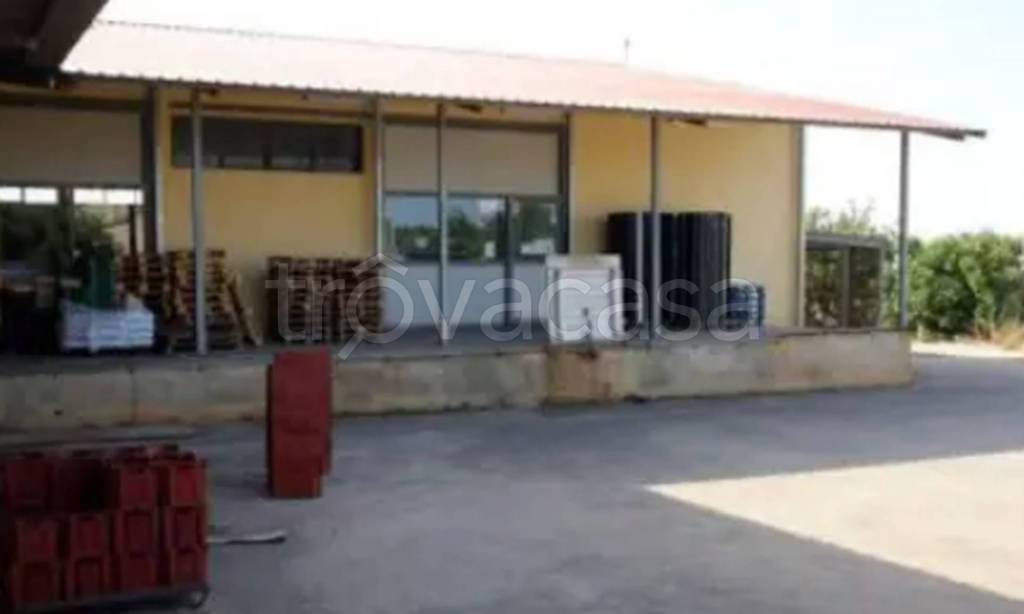 immagine annuncio 7 di 11