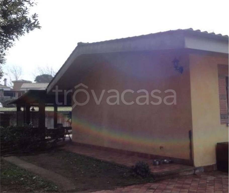 immagine annuncio 4 di 9