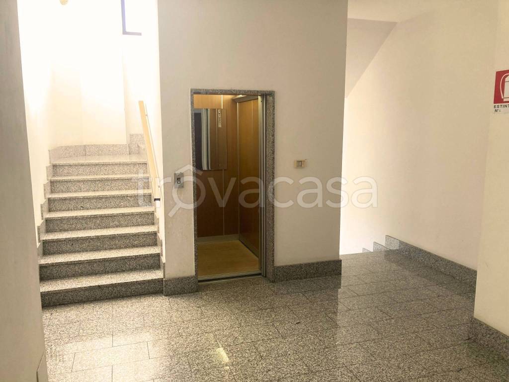 immagine annuncio 11 di 13