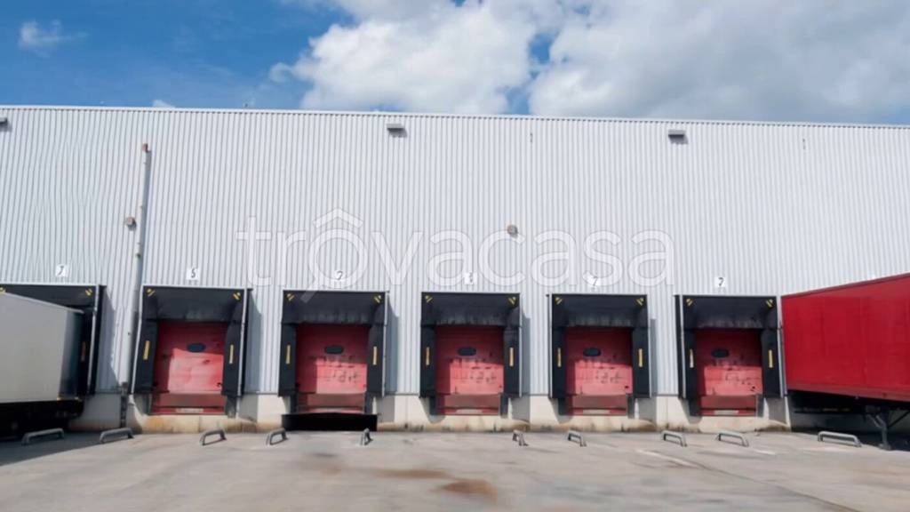 immagine annuncio 3 di 12