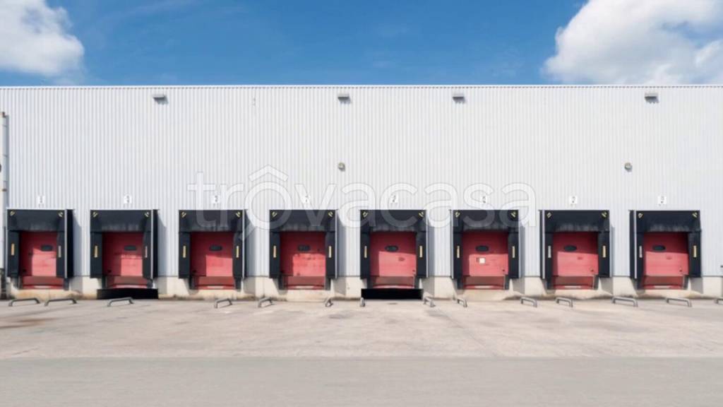 immagine annuncio 5 di 12