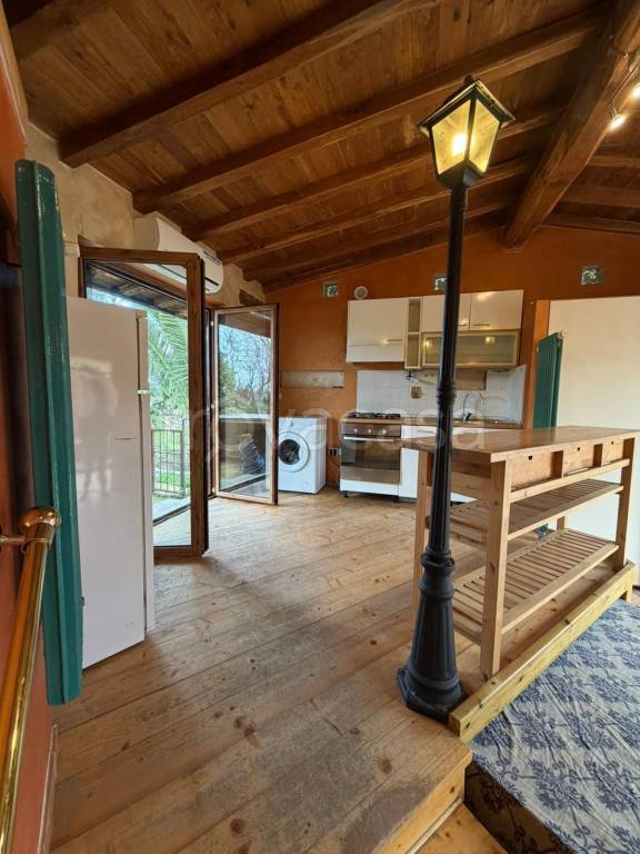 immagine annuncio 5 di 12