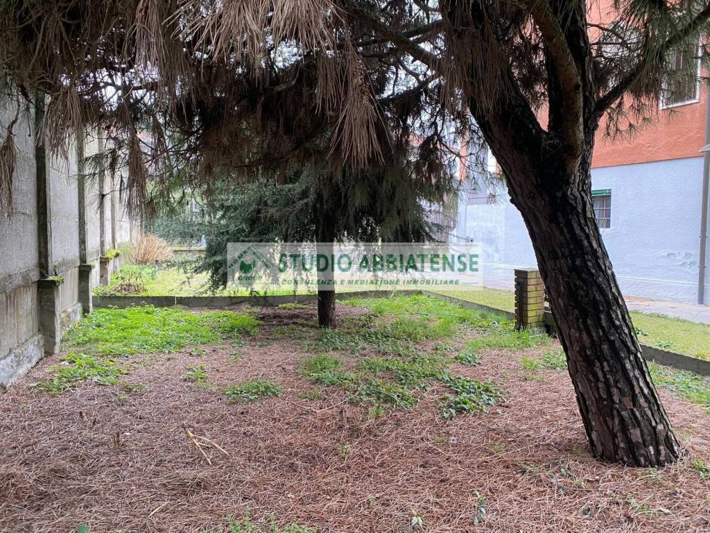 immagine annuncio 3 di 6