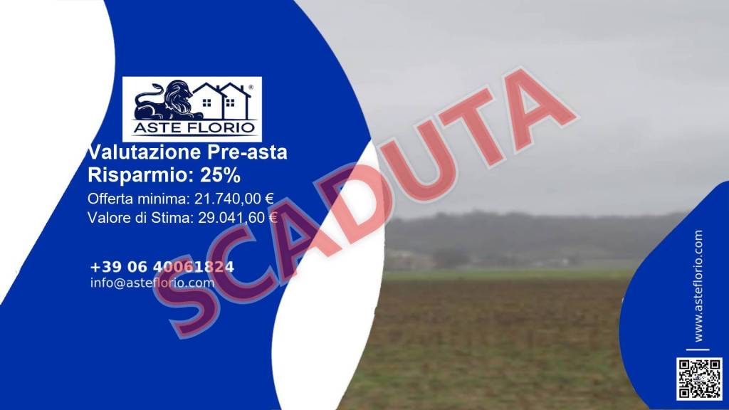 immagine annuncio 1 di 12