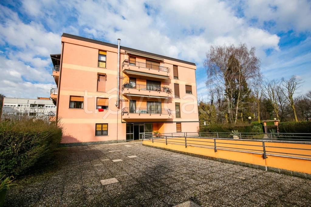 immagine annuncio 6 di 15