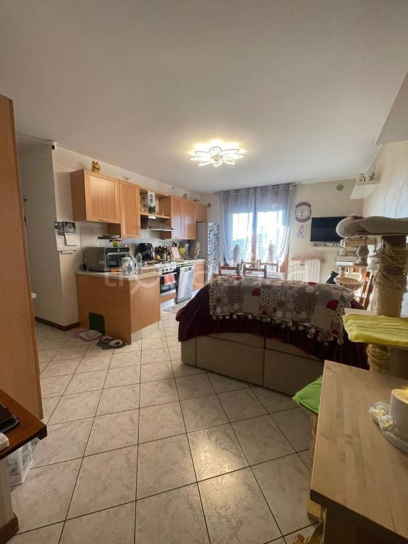 immagine annuncio 2 di 9