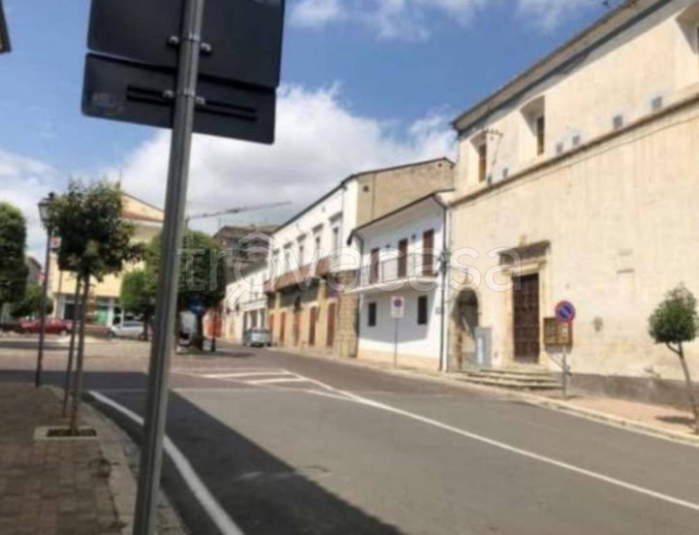 immagine annuncio 7 di 14