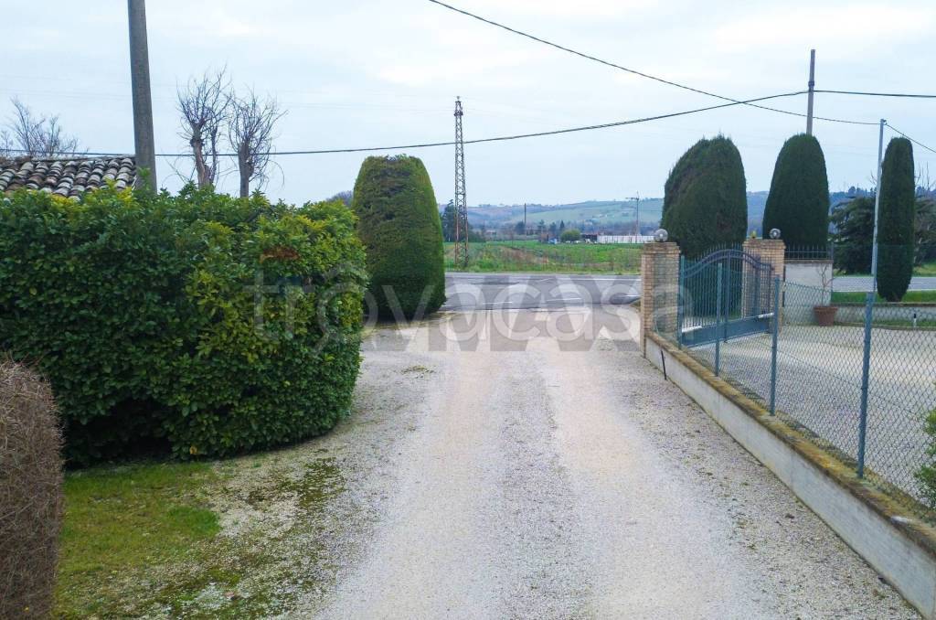 immagine annuncio 5 di 8