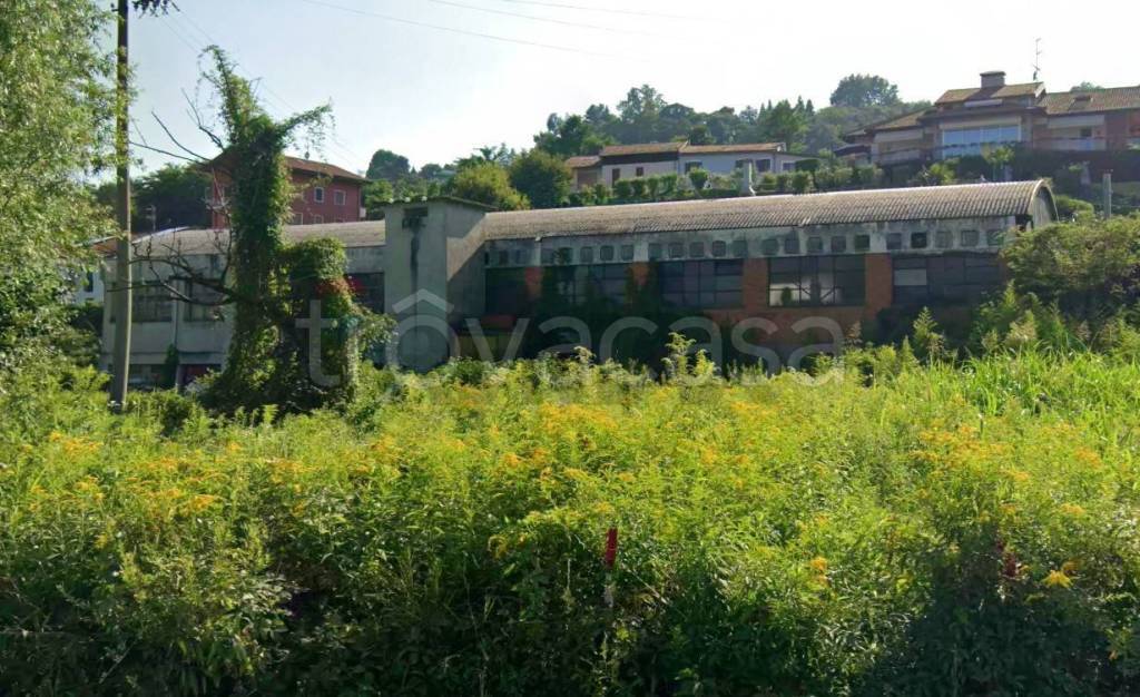 immagine annuncio 4 di 8