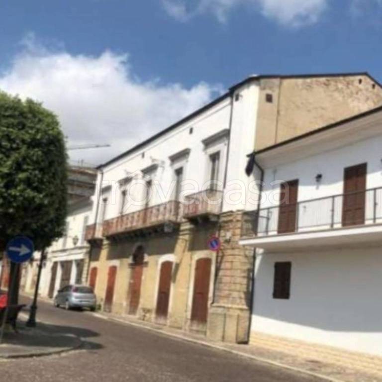 immagine annuncio 12 di 14