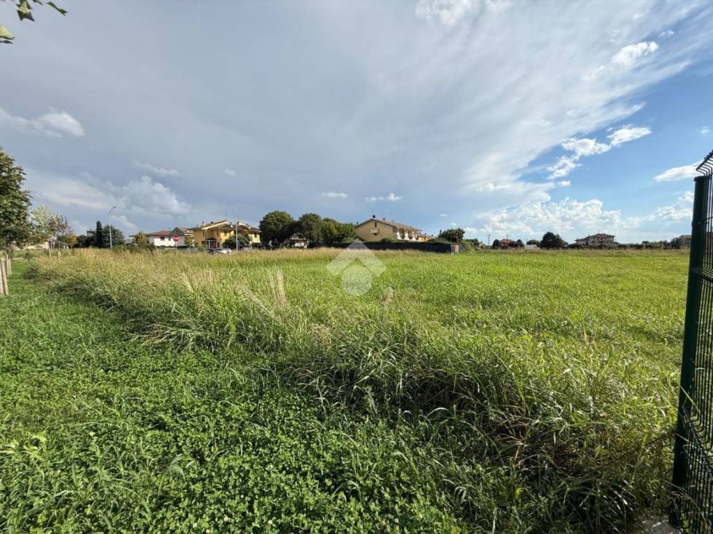 immagine annuncio 1 di 4