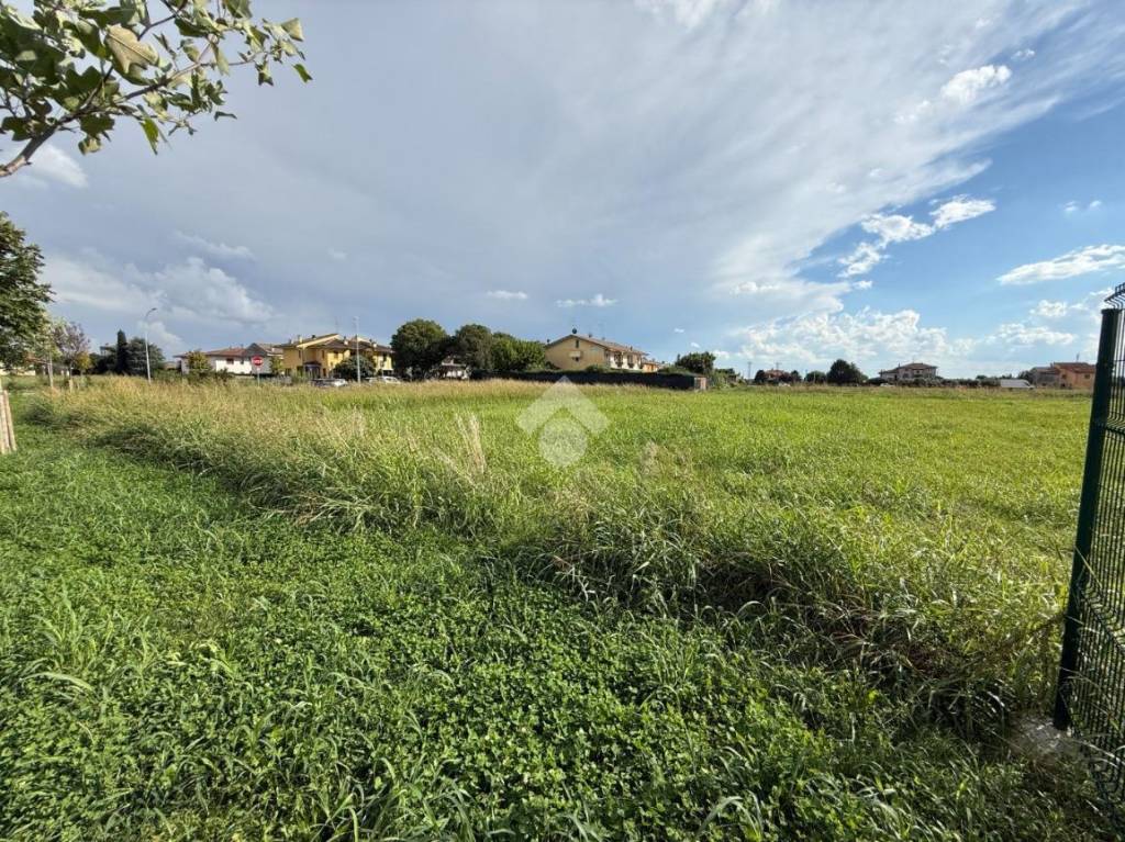 immagine annuncio 1 di 3