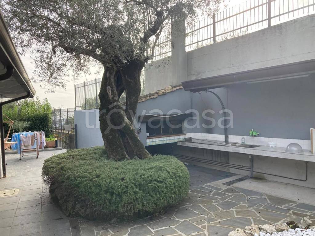 immagine annuncio 6 di 11