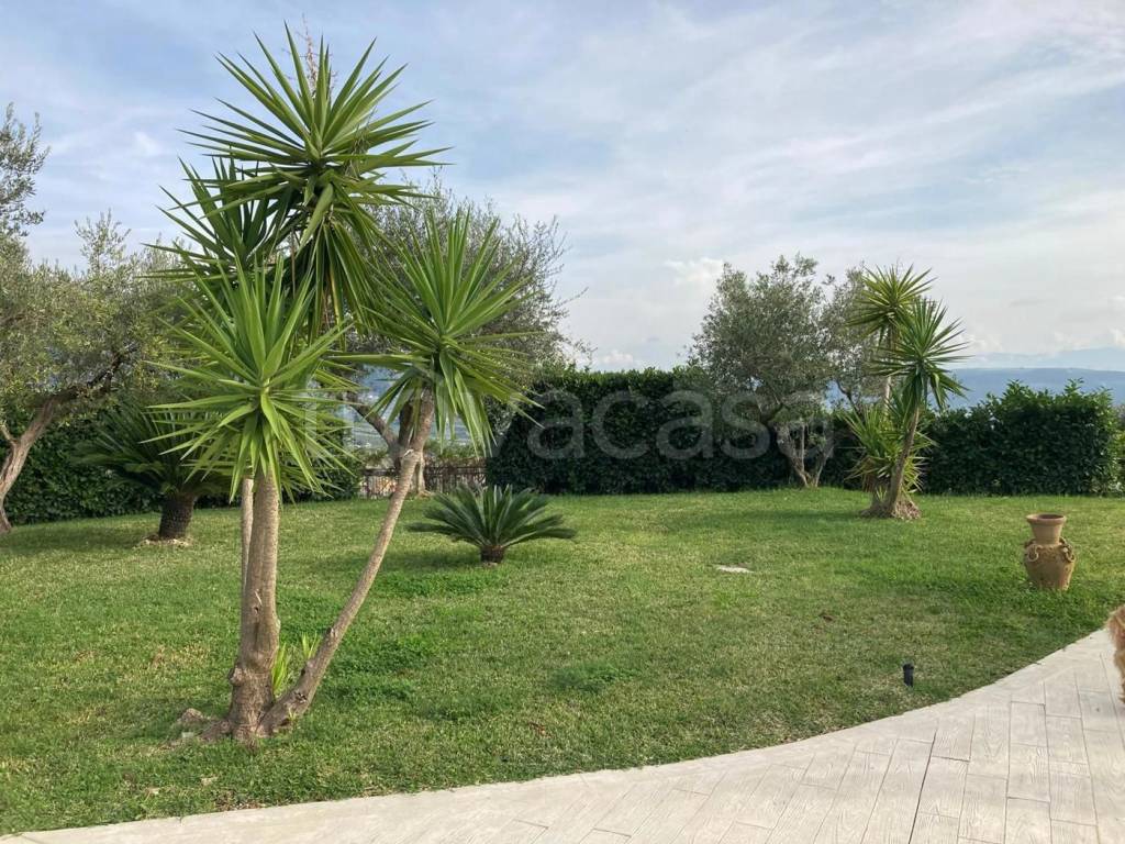 immagine annuncio 10 di 11