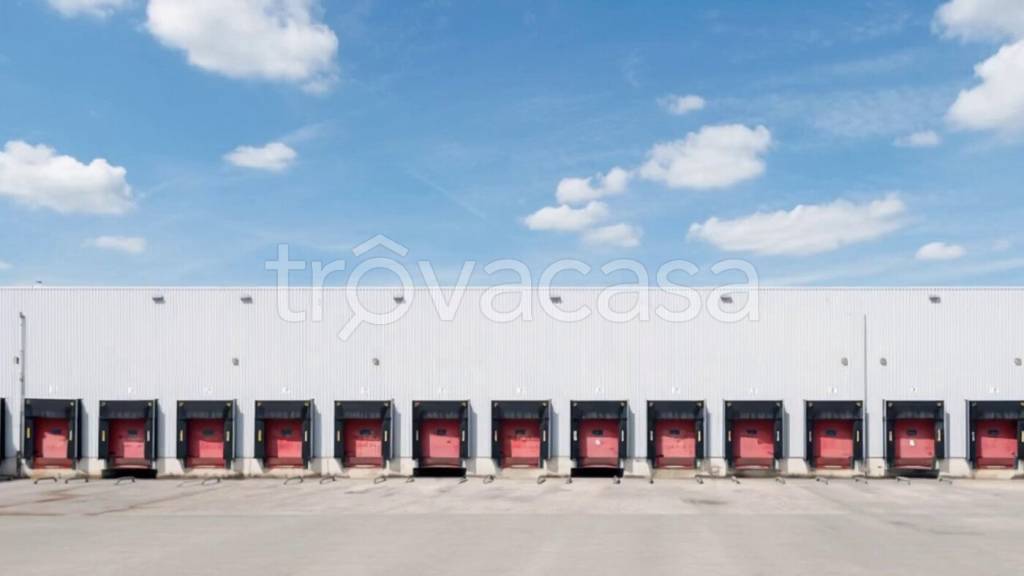 immagine annuncio 5 di 12