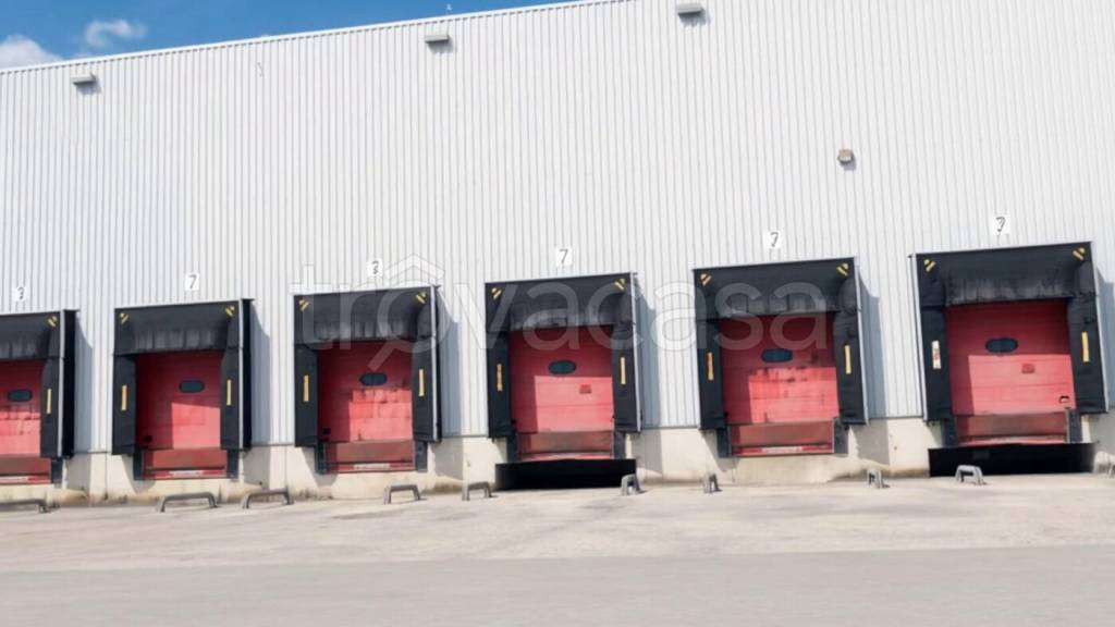 immagine annuncio 7 di 12