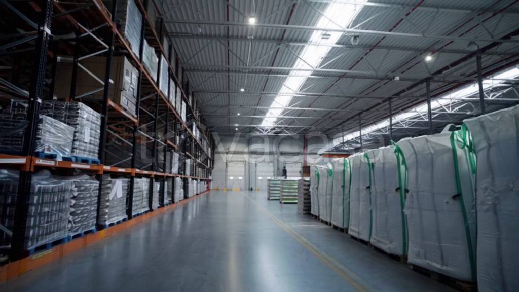 immagine annuncio 11 di 12