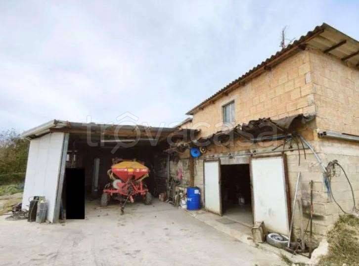 immagine annuncio 2 di 14