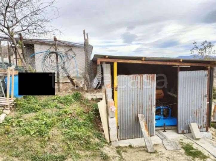 immagine annuncio 3 di 14