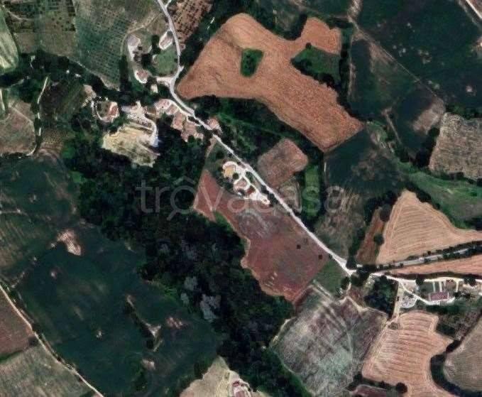 immagine annuncio 7 di 14