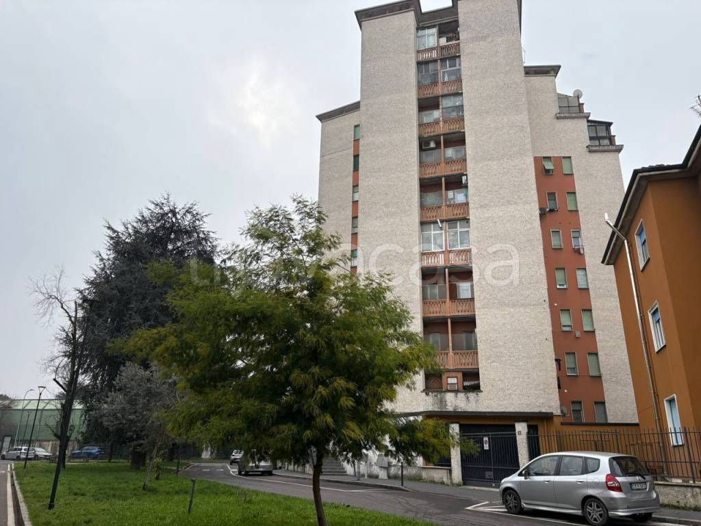 immagine annuncio 6 di 15