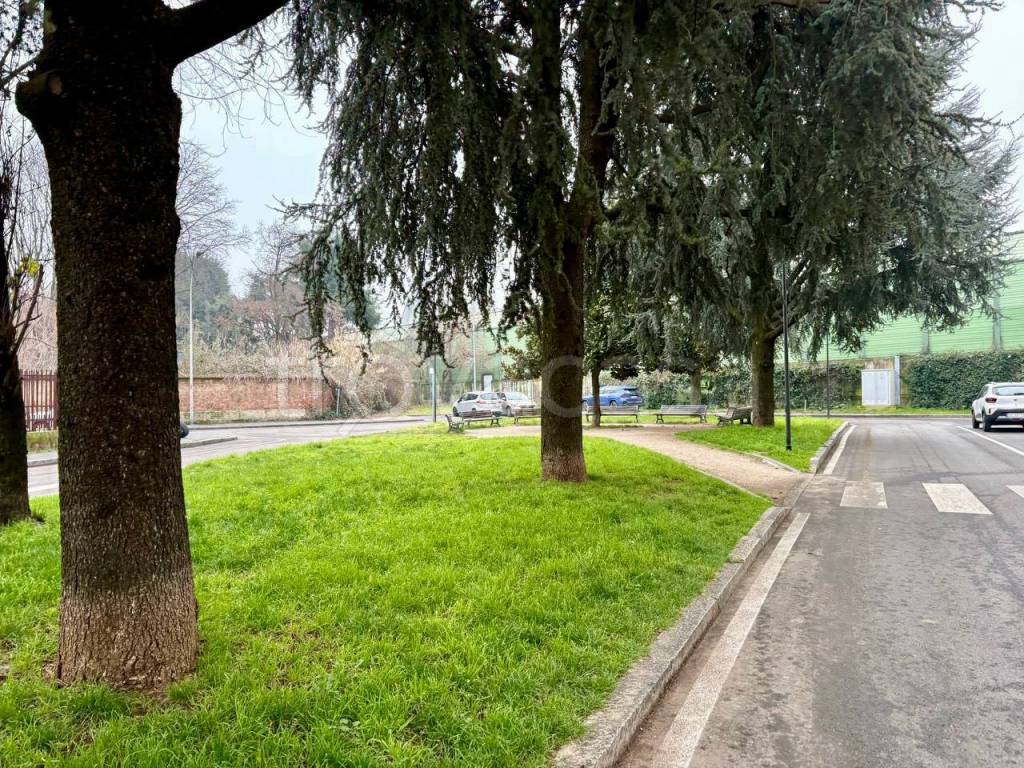 immagine annuncio 5 di 15