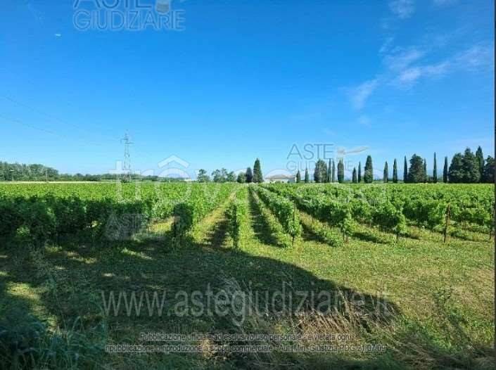 immagine annuncio 3 di 11