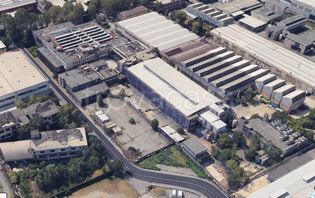 immagine annuncio 3 di 7