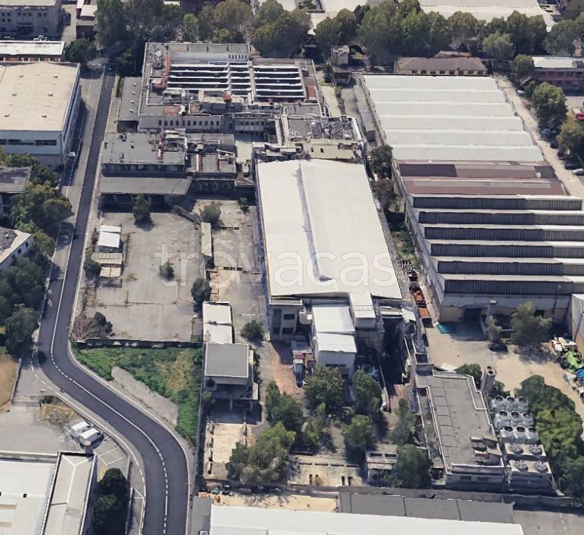 immagine annuncio 4 di 7