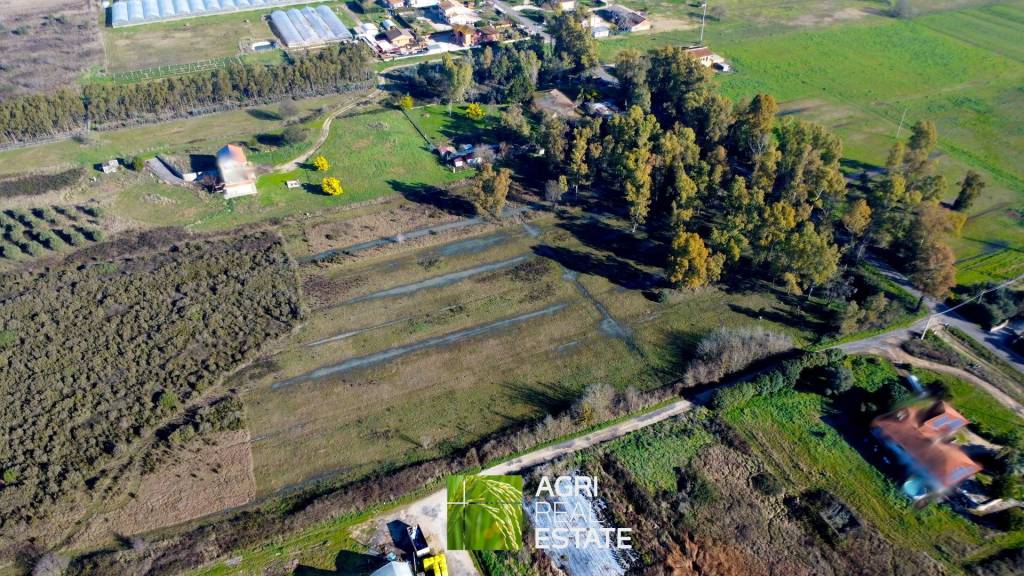 immagine annuncio 2 di 8