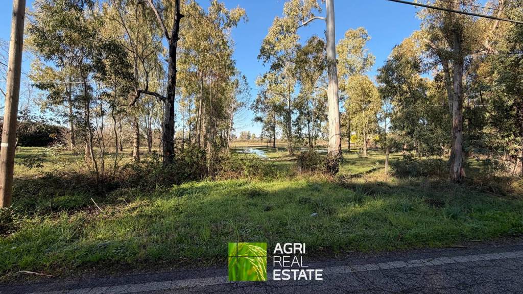 immagine annuncio 4 di 8