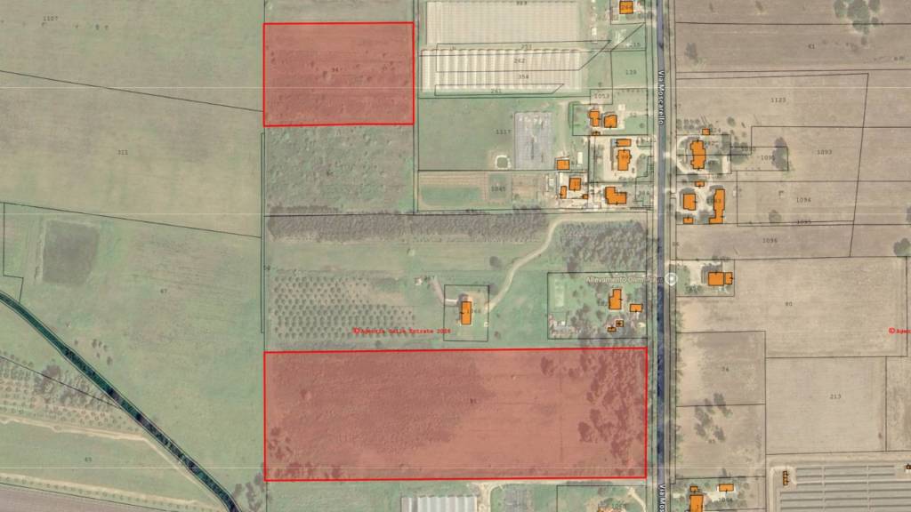 immagine annuncio 5 di 8