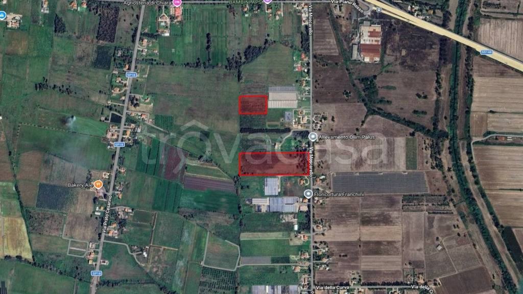 immagine annuncio 6 di 8