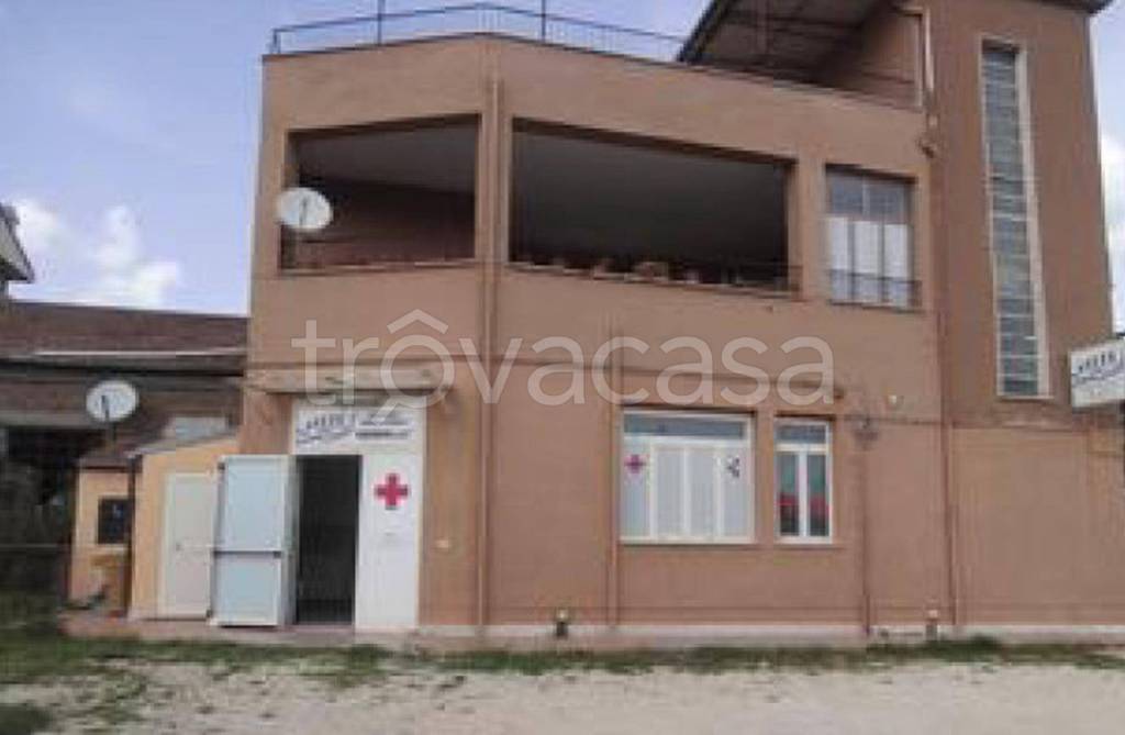 immagine annuncio 9 di 12