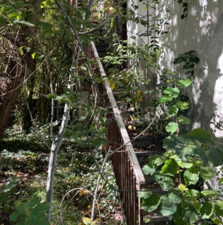 immagine annuncio 7 di 14