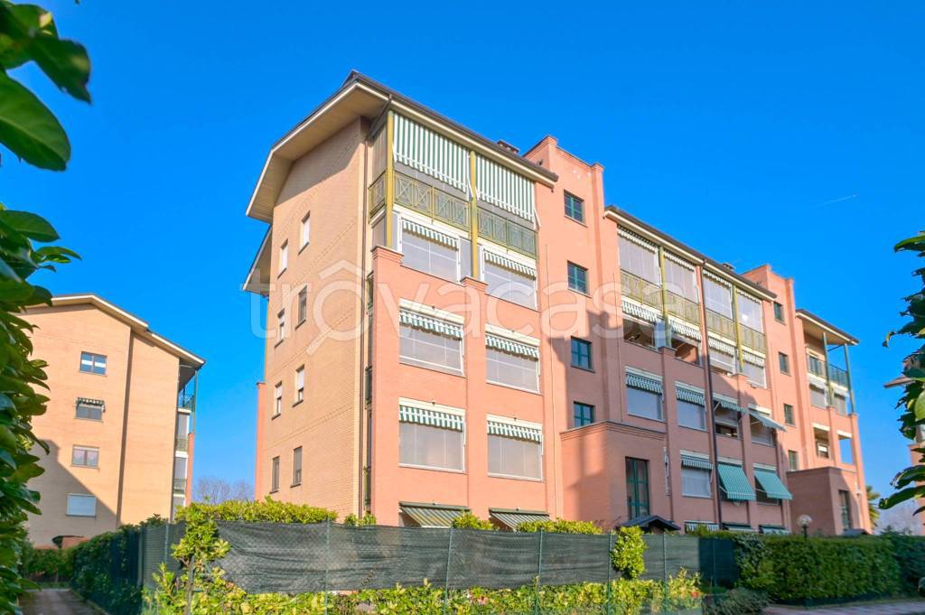 immagine annuncio 5 di 15