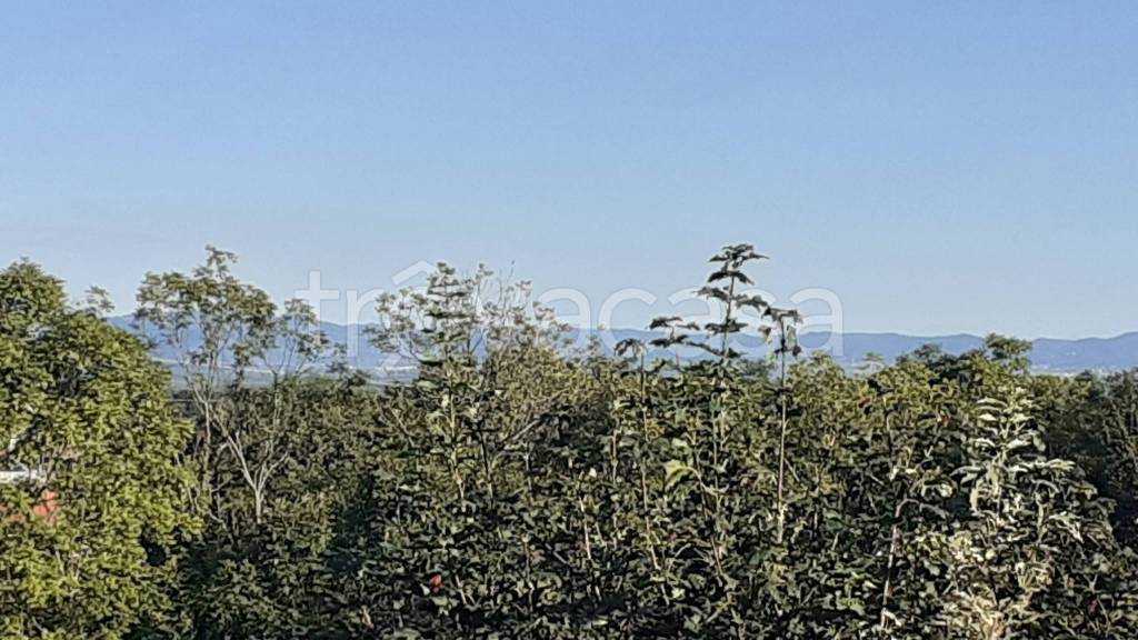 immagine annuncio 7 di 8