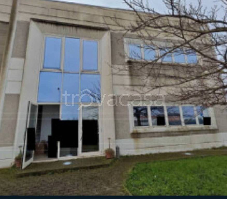 immagine annuncio 5 di 11