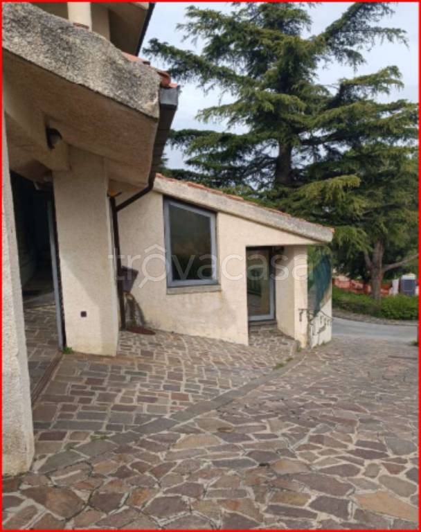 immagine annuncio 4 di 13