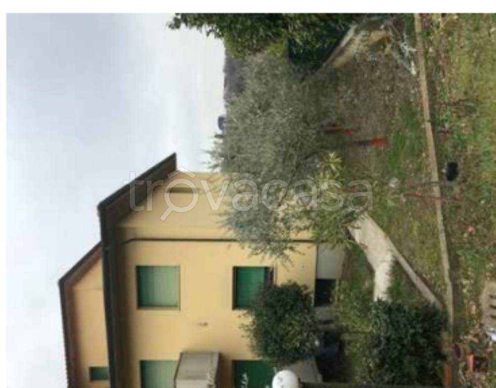 immagine annuncio 5 di 14