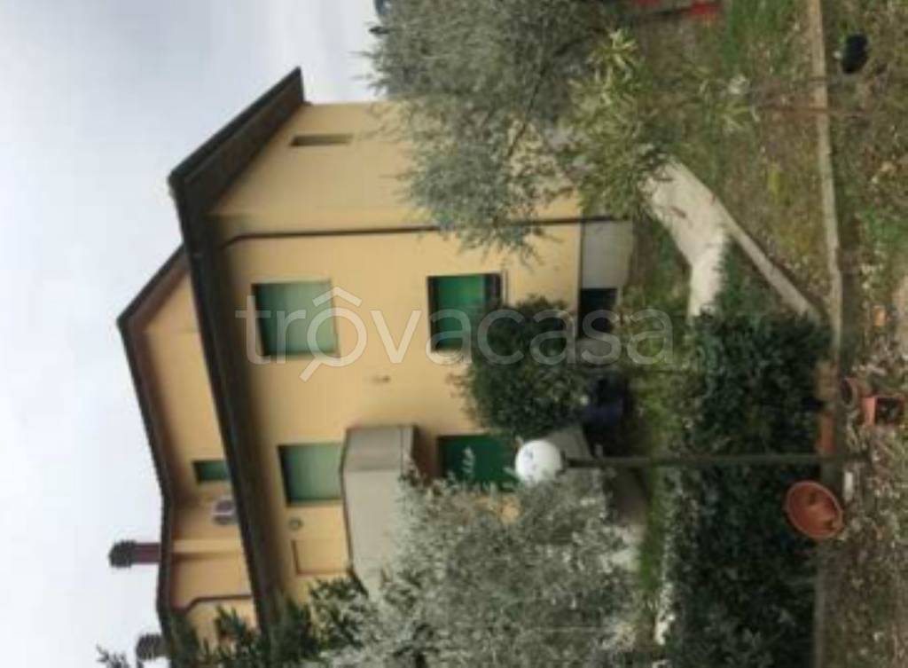 immagine annuncio 6 di 14