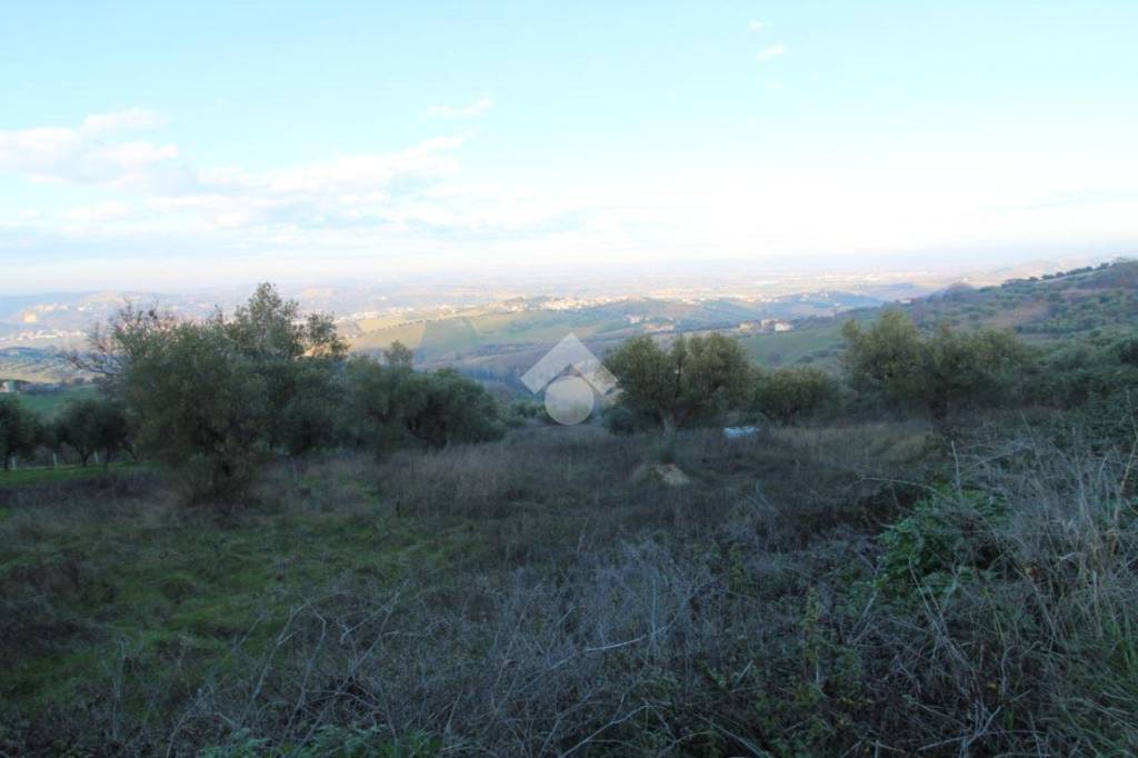 immagine annuncio 6 di 12