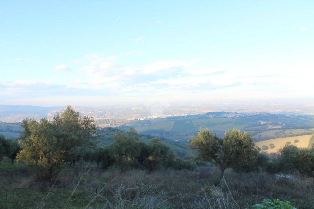 immagine annuncio 8 di 12