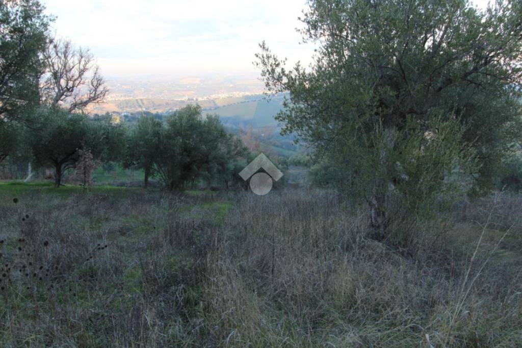 immagine annuncio 9 di 12