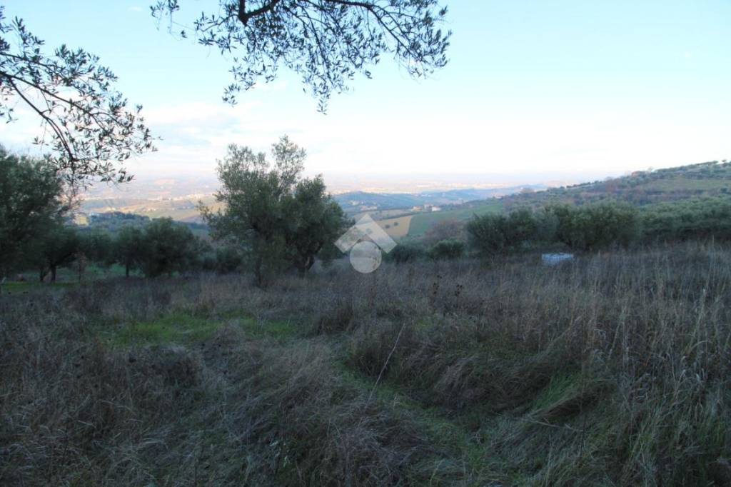 immagine annuncio 11 di 12