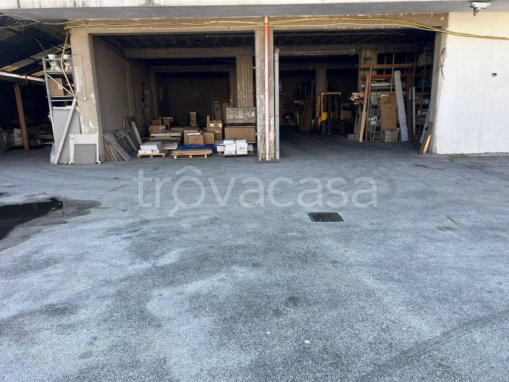 immagine annuncio 3 di 8